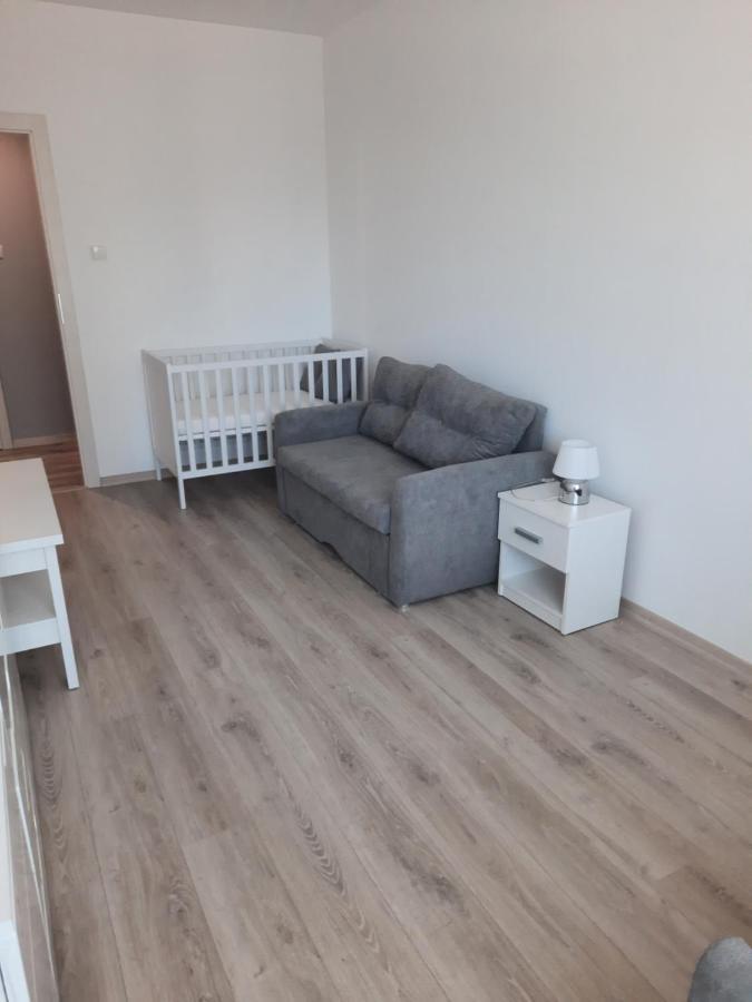 Apartament Za Swierkami 科沃布热格 外观 照片