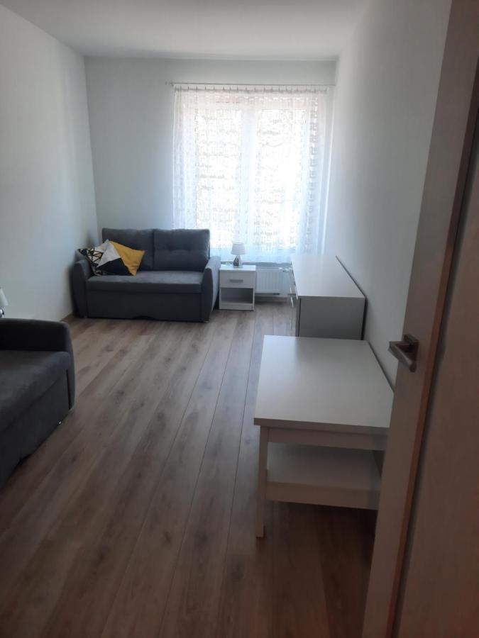 Apartament Za Swierkami 科沃布热格 外观 照片